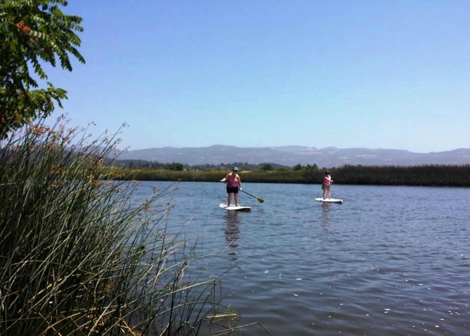 Napa Valley Paddle景点图片