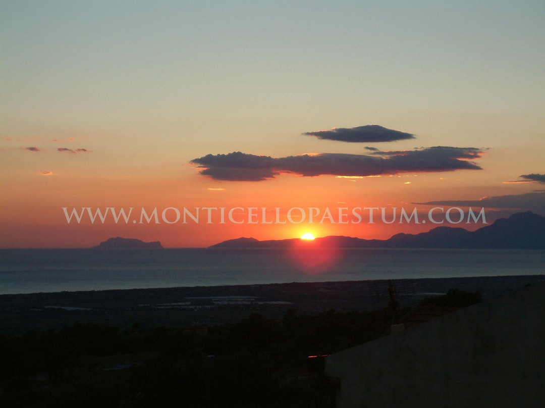 B&B Monticello主图