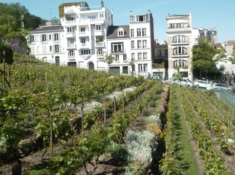 蒙马特尔博物馆-巴黎必去景点