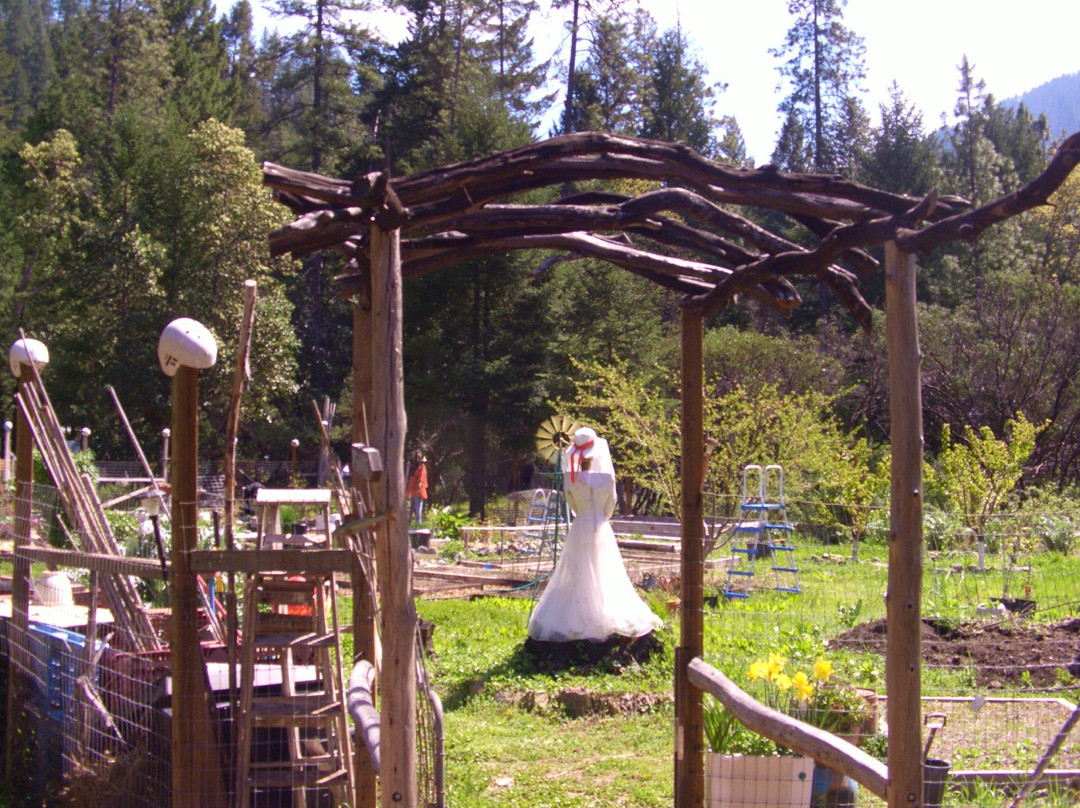 Redwoods and Rivers-Big Bar必去景点