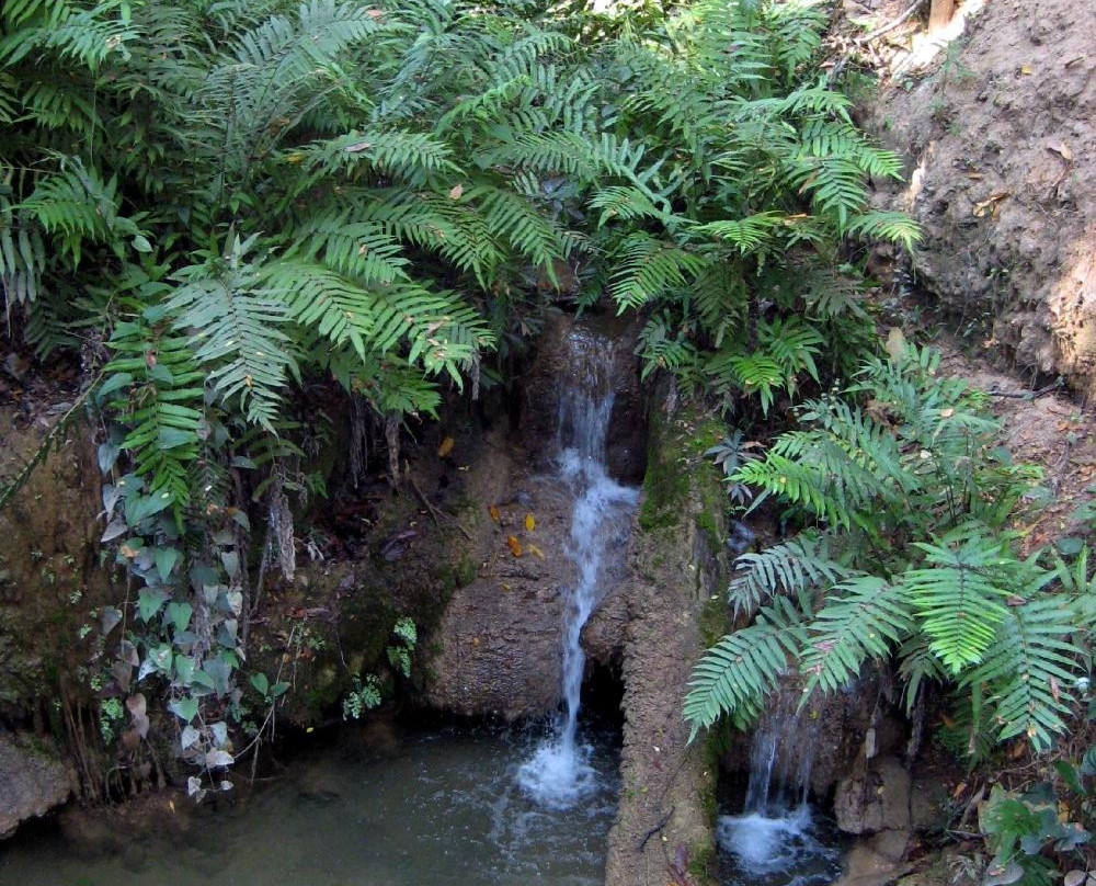 Namtok Huai Rong Waterfall景点图片
