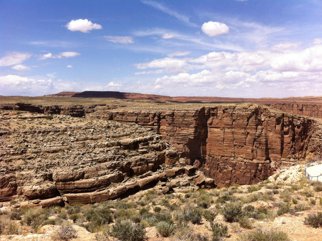 Little Colorado River Gorge-卡梅隆必去景点
