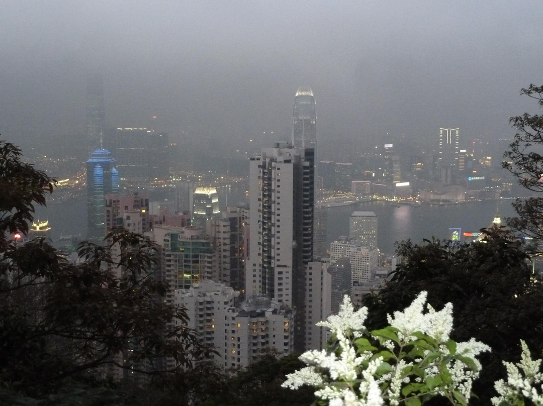 香港天际线-香港必去景点