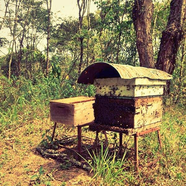 Sitio do Quintal-坎普斯－杜若尔当必去景点