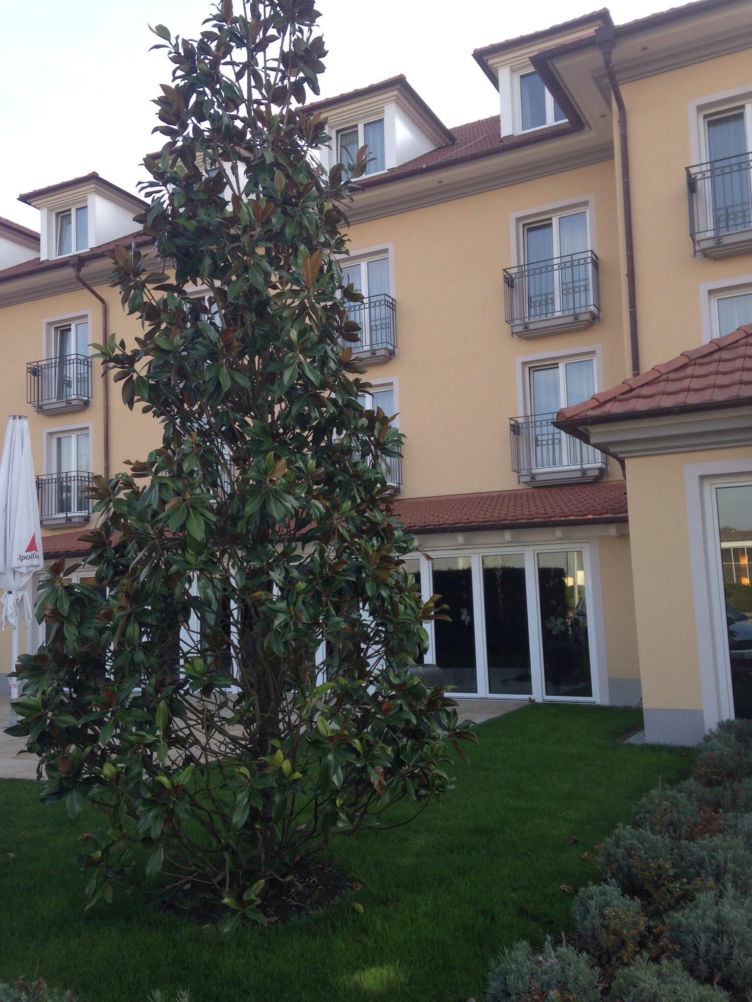 Heuboden Hotel Landhaus Blum-客卧