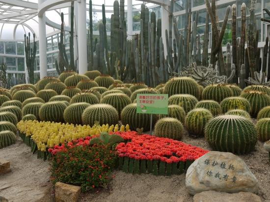 厦门园林植物园景点图片
