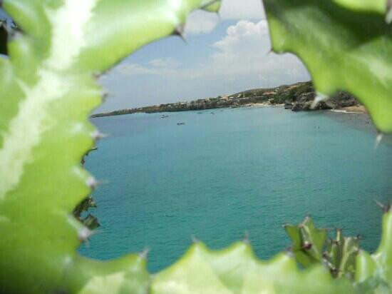 Playa Punta La Cruz景点图片