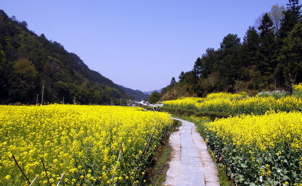 晓起村景点图片