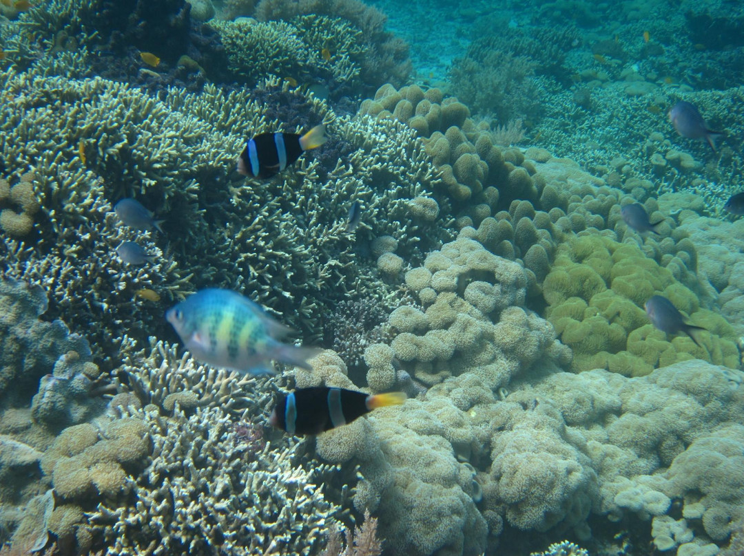 孟赞干岛-佩母德兰必去景点