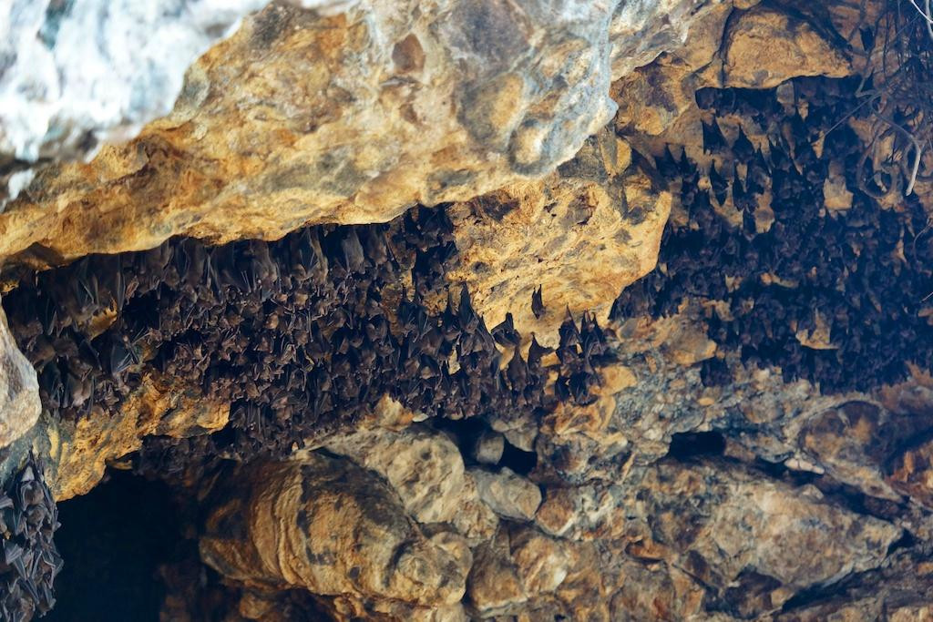 蝙蝠洞-巴厘岛必去景点