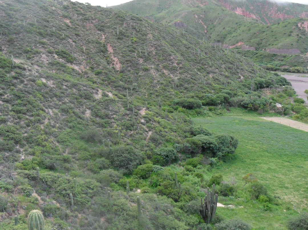 Finca Escoipe景点图片