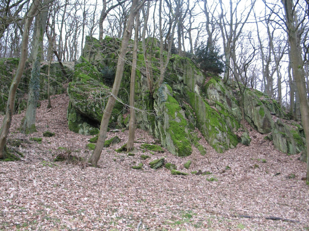 Naturpark Hochtaunus-Oberursel (Taunus)必去景点