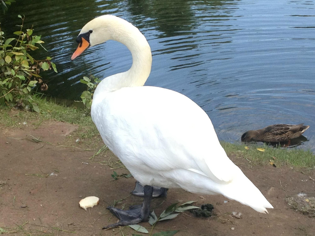 高尔基公园-莫斯科必去景点