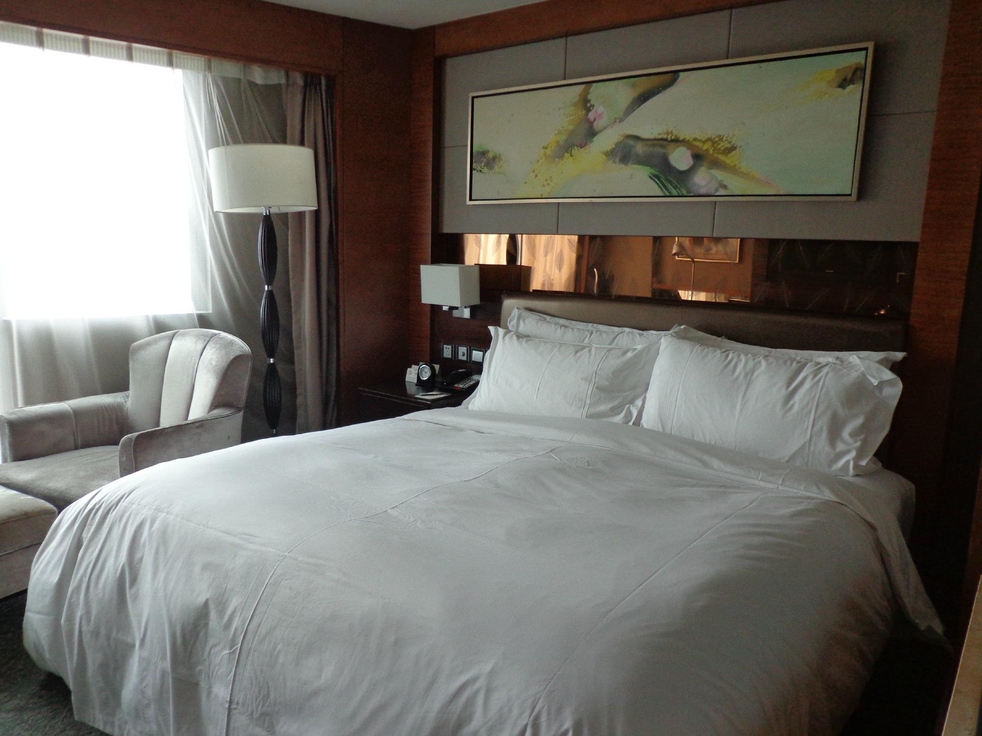 北京人卫酒店-客卧