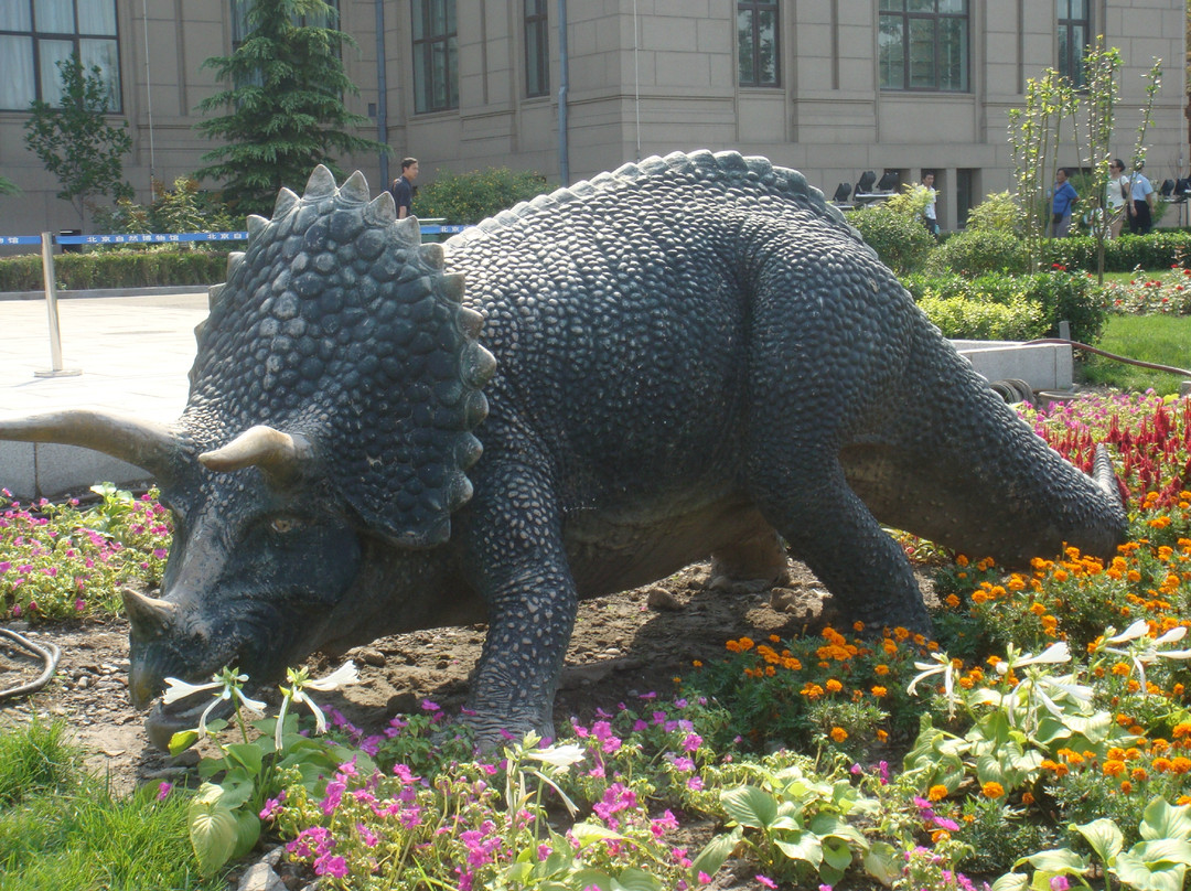 北京自然博物馆-北京市必去景点