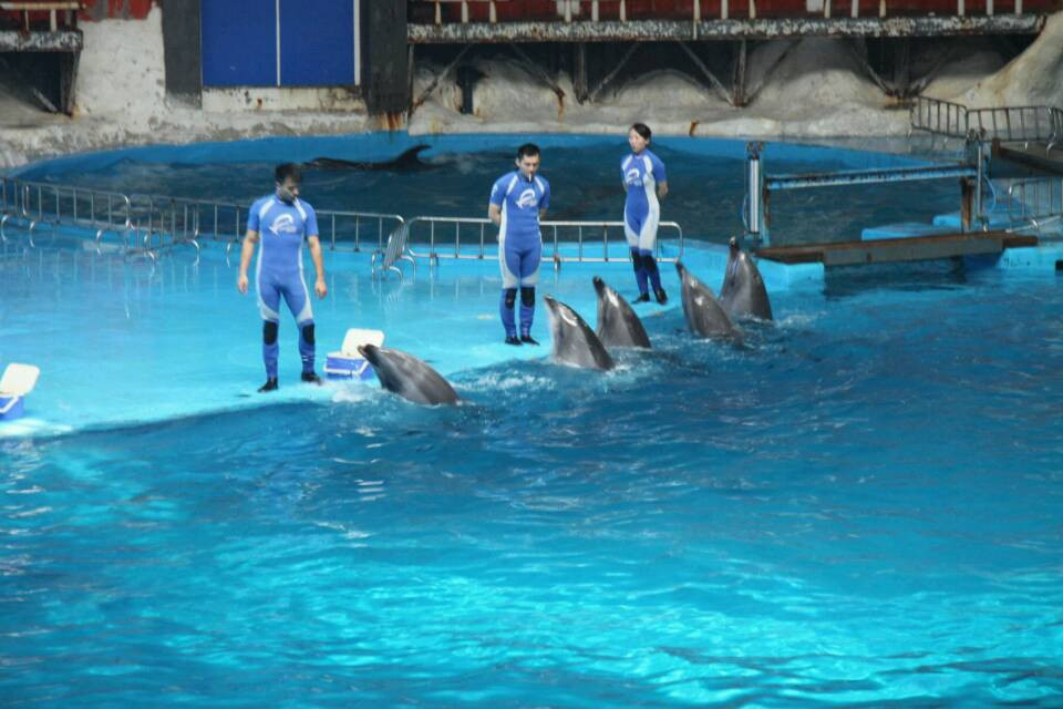 极地海洋世界-青岛市必去景点