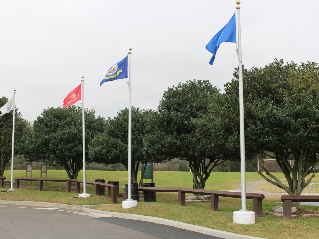 Kanapaha Park-盖恩斯维尔必去景点