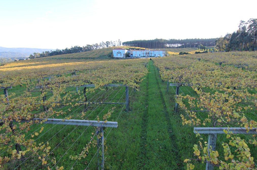 Bodegas Granbazán-Vilanova de Arousa必去景点