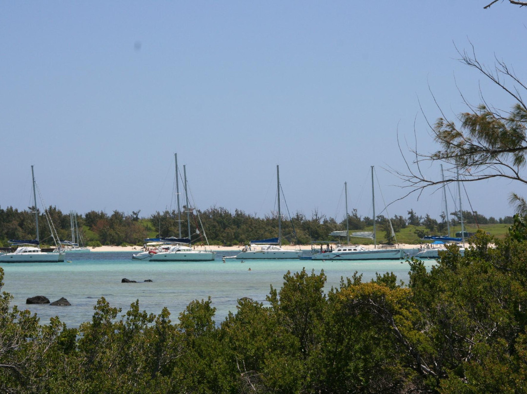 Mauritius Catamaran-大湾必去景点