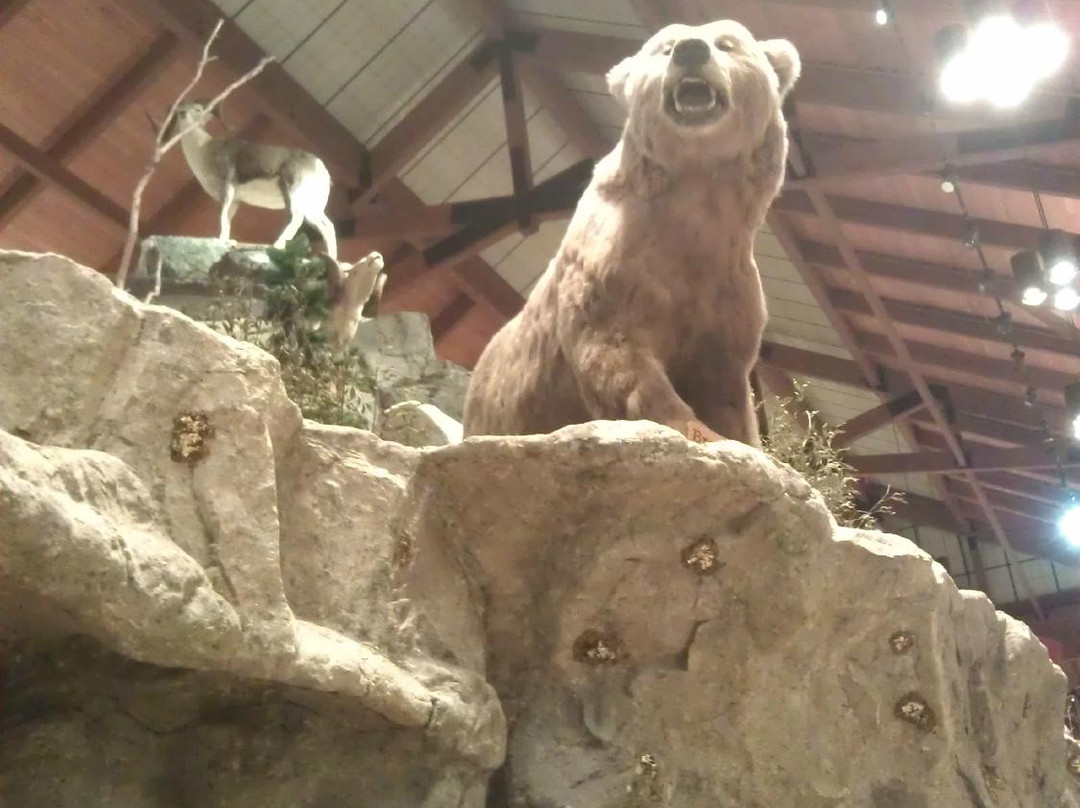 Cabela's-East Hartford必去景点