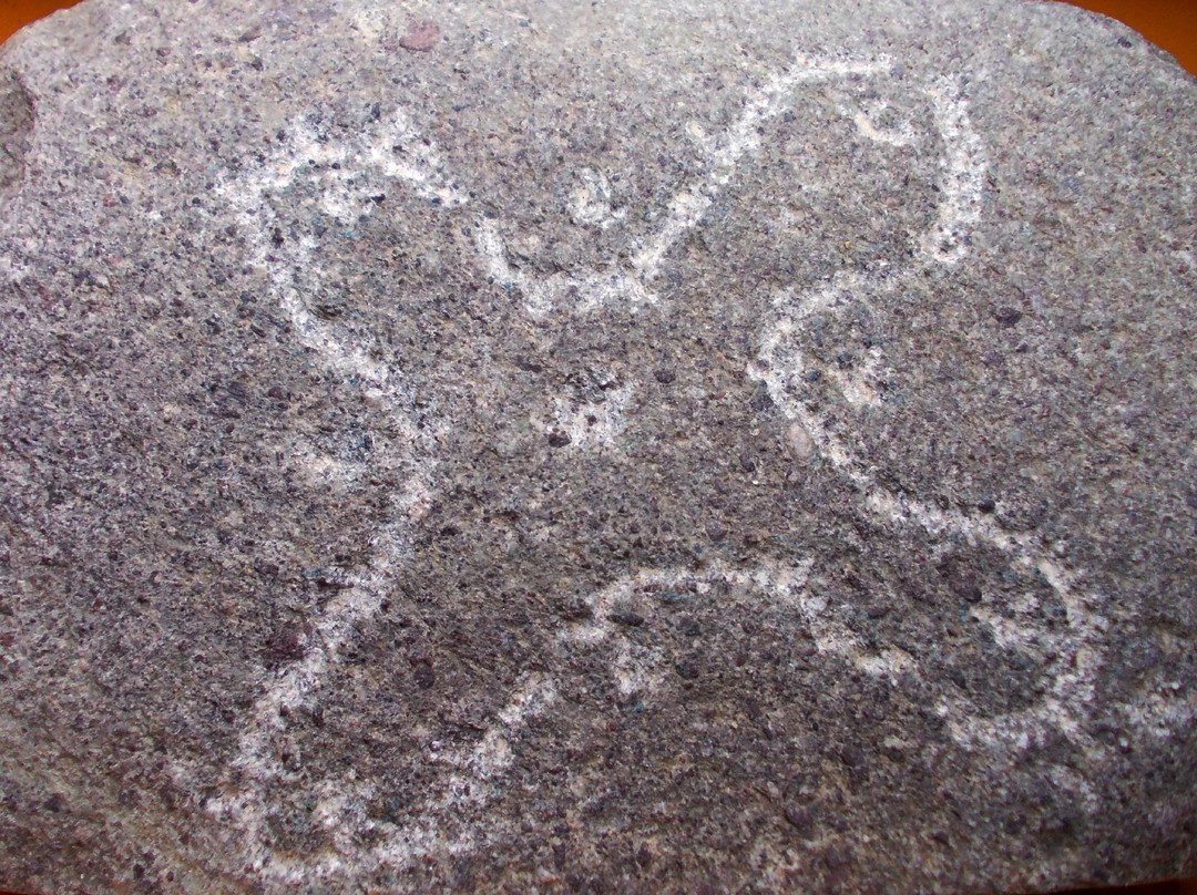 Parco Archeologico Comunale di Seradina-Bedolina景点图片