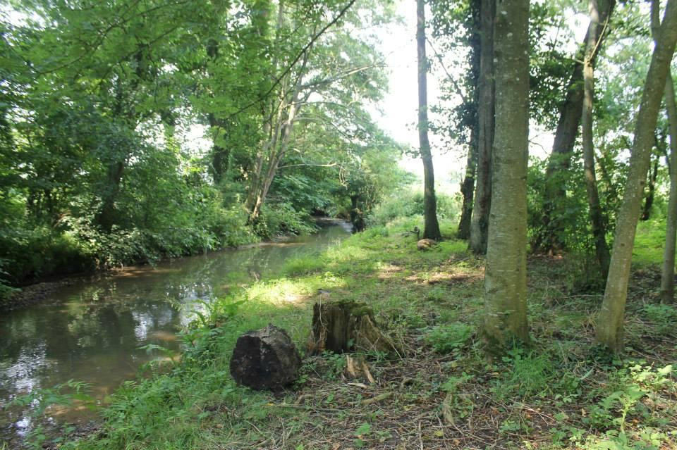Le Moulin D'audenfort主图