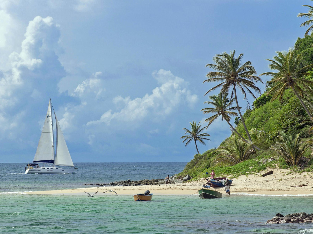 Horizon Yachts Grenada-St. George's必去景点