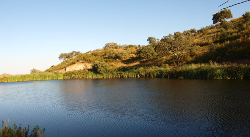 Garvao旅游攻略图片