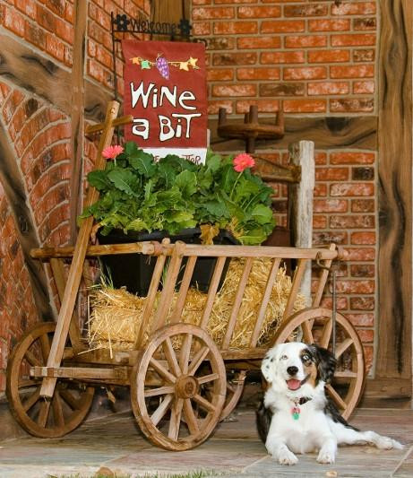 San Marcos Creek Vineyard-帕索罗布尔斯必去景点