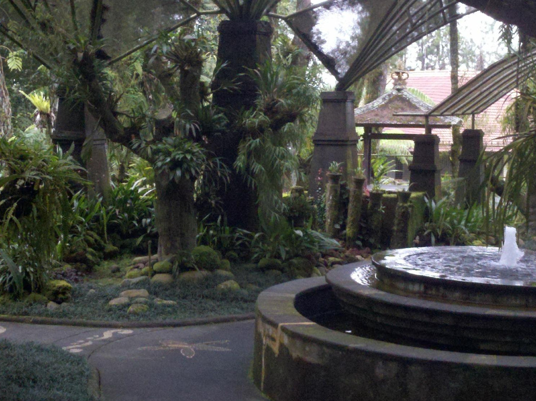 Bali Botanic Garden-达巴南必去景点