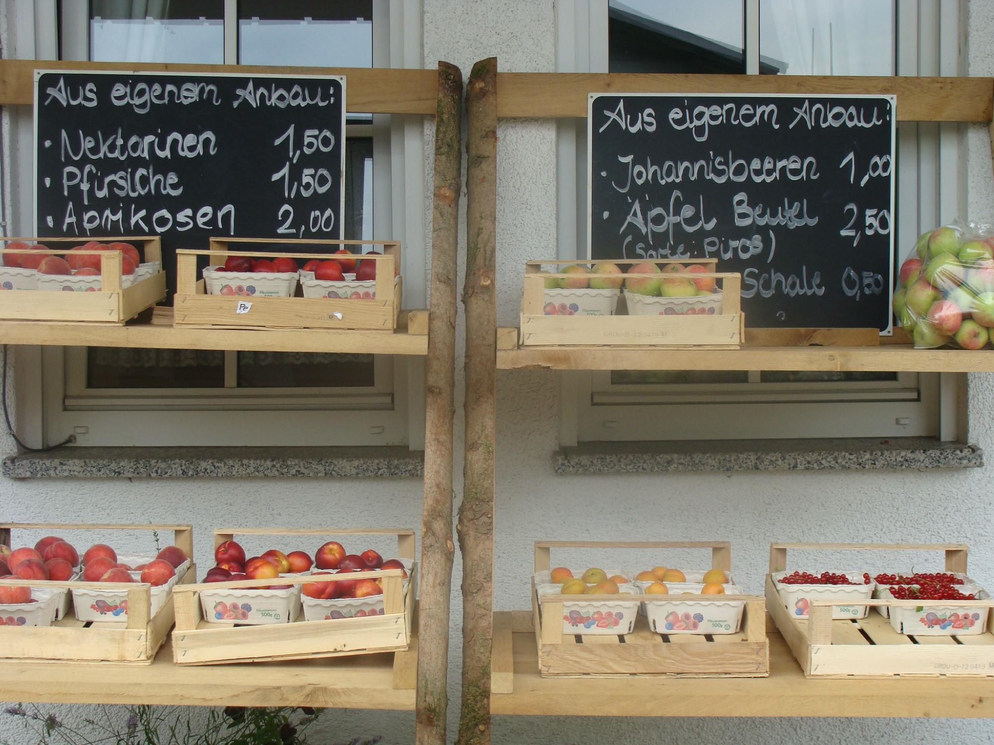Gasthof zum Forst-浴室
