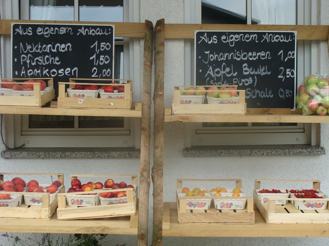 Gasthof zum Forst主图