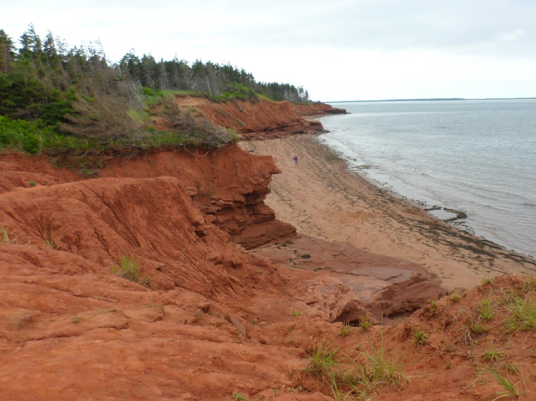 Cabot Beach Provincial Park景点图片