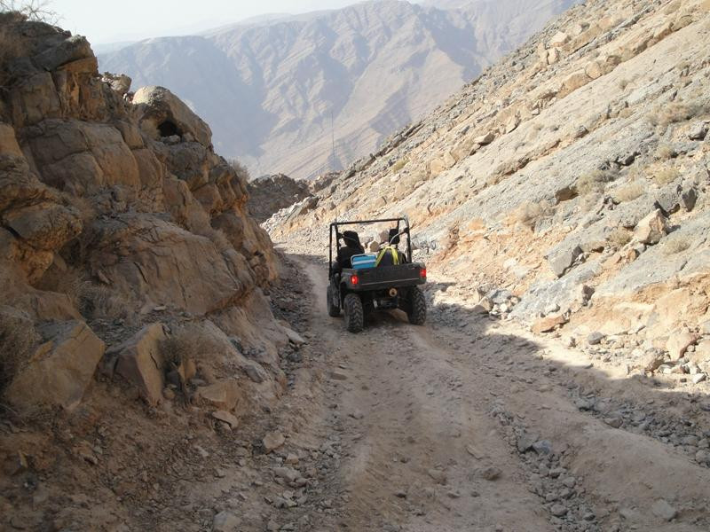 Buggy Adventures景点图片