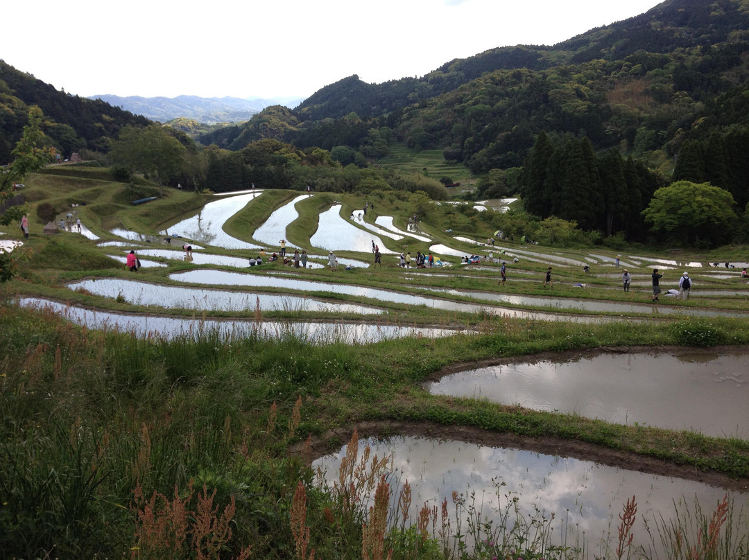 Oyama Rice Terraces-鸭川市必去景点