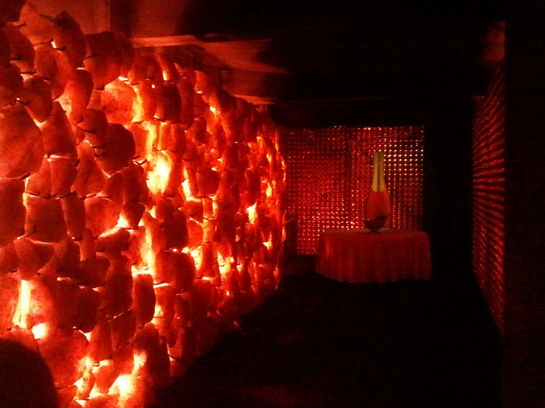 Aliança Underground Museum景点图片