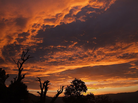 El Cielo de Canar主图