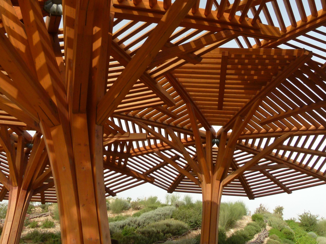 Hiriya-Or Yehuda必去景点