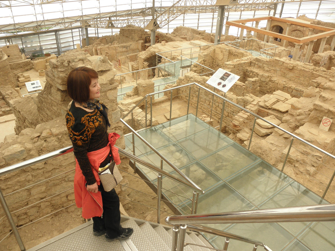 Ephesus Deluxe Tours景点图片
