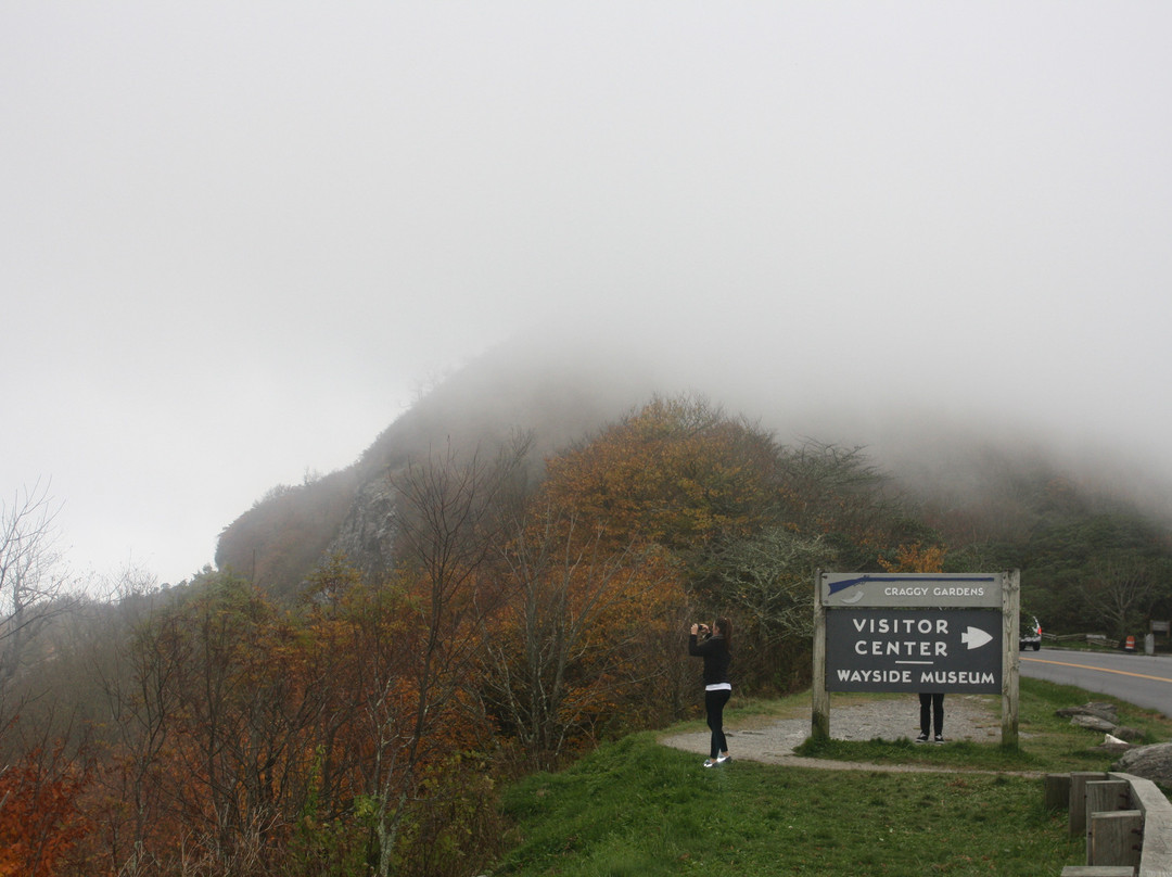 Craggy Gardens景点图片