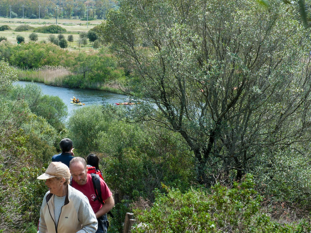 Parco Fluviale del Padrongianus-Murta Maria必去景点