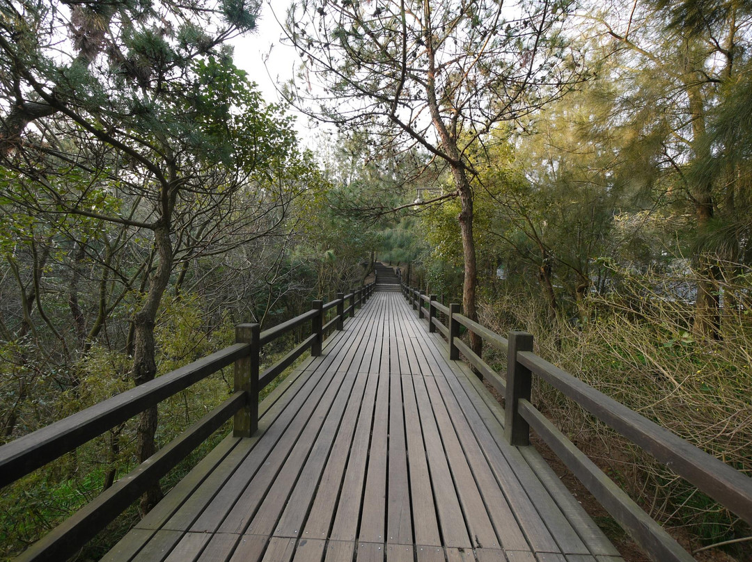 舟山普陀六横列岛-舟山市必去景点