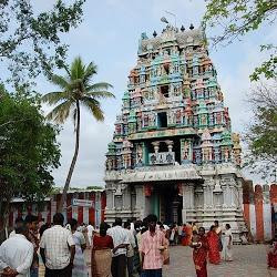 DescriptionSoundararajaperumal Temple景点图片