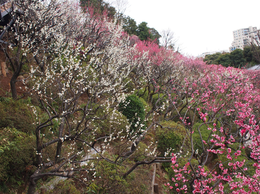 Ikegami Baien-大田区必去景点