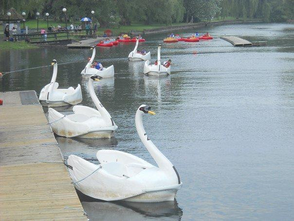 森特维尔游乐园-多伦多必去景点