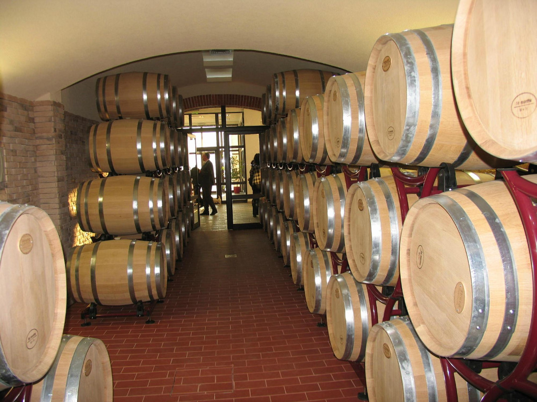 Villa Melnik Winery景点图片