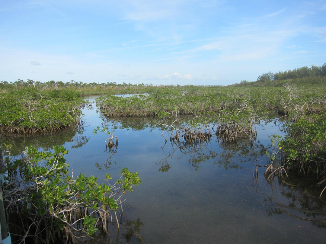 Gold Rock-大巴哈马岛必去景点