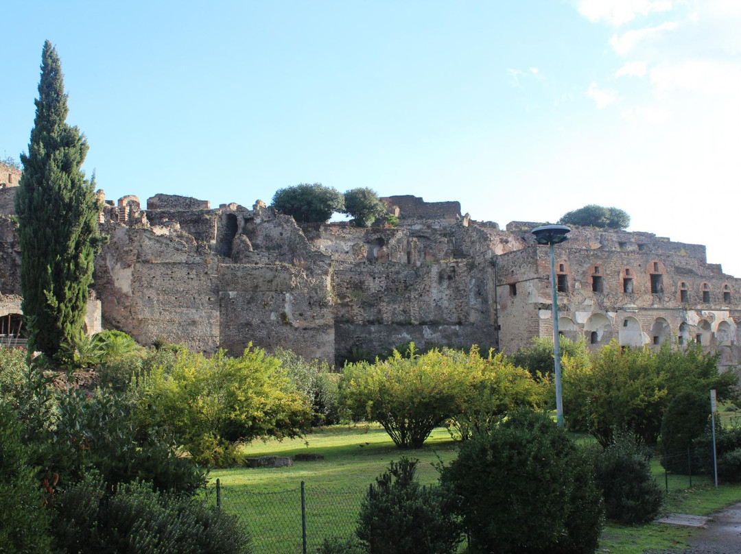 Guided Tours of Pompeii with Livio-庞贝必去景点