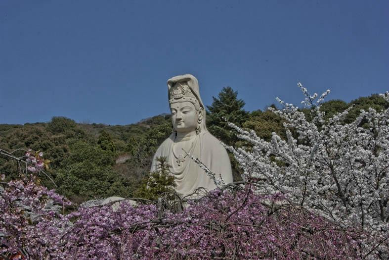 灵山观音-京都市必去景点