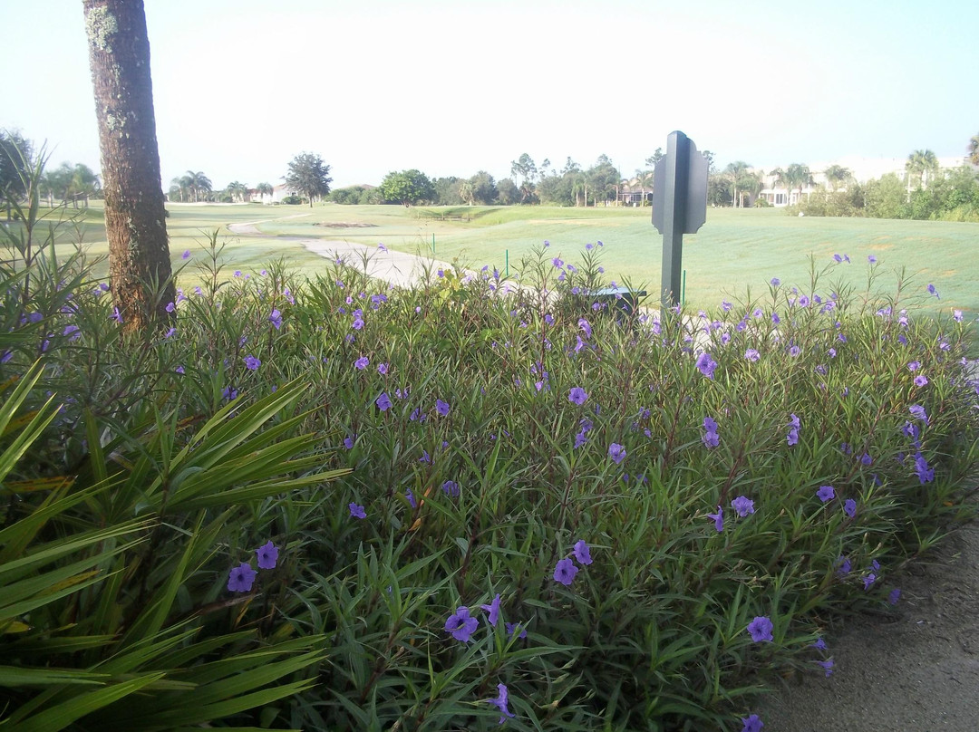 Deep Creek Golf Club-夏洛特港必去景点